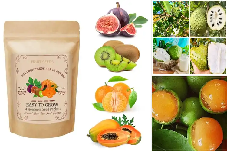 Detailed view of Best Tropical Fruit Seeds