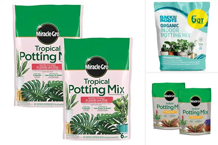 Detailed view of Best Tropical Plant Soils: Thrive