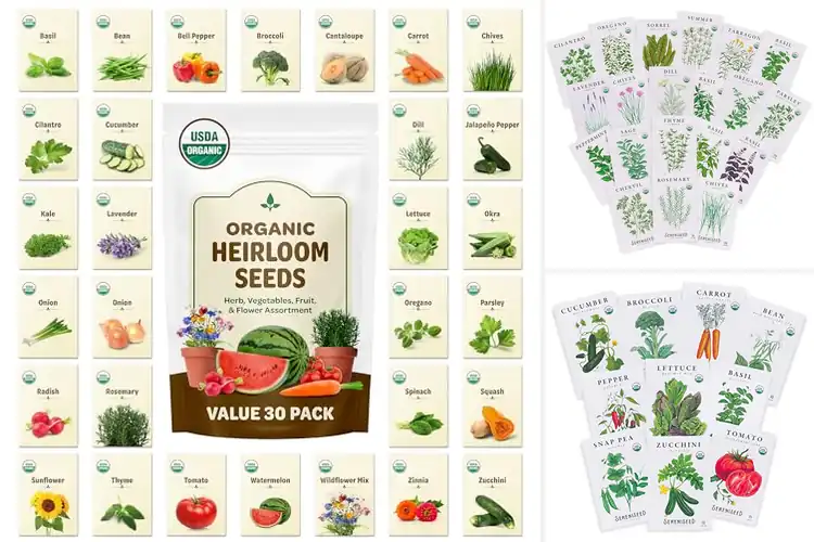 Detailed view of Best USDA Organic Seeds for Thriving Gardens
