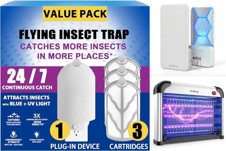 Detailed view of Best UV LED Insect Traps: Eliminate Bugs Safely & Quietly