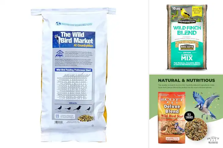 Detailed view of Best Value Bird Mix: Attract More Birds Year-Round Easily