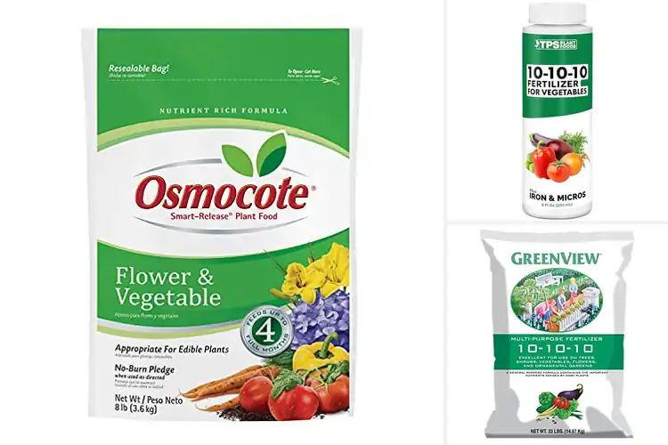 Detailed view of Best Vegetable Fertilizers