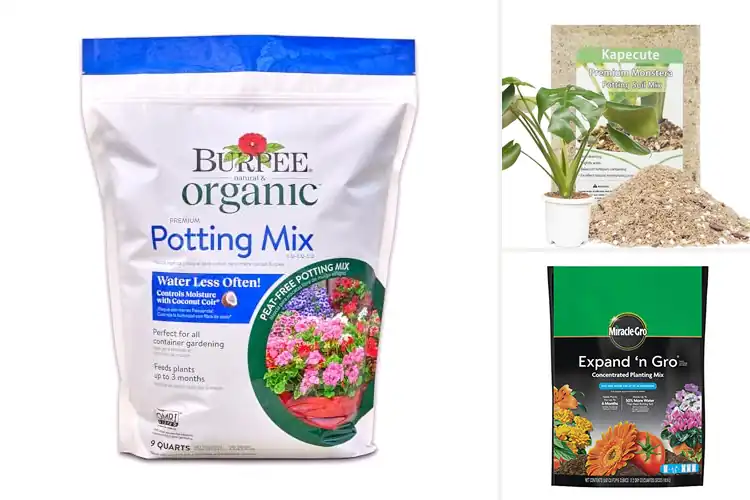 Detailed view of Best Water-Retentive Potting Mixes