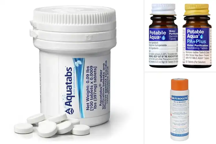 Detailed view of Best Water Sanitizers