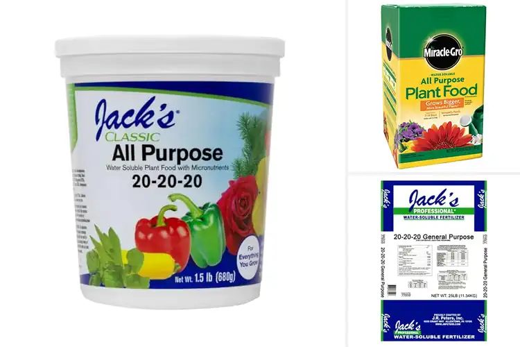 Detailed view of Best Water Soluble Fertilizers