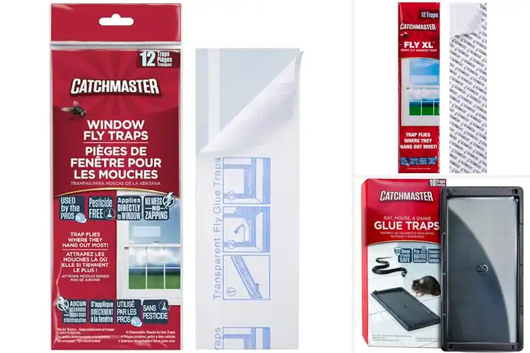 Detailed view of Best Waterproof Glue Traps