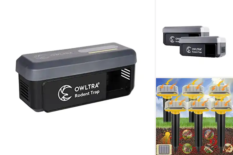 Detailed view of Best Waterproof Rodent Traps