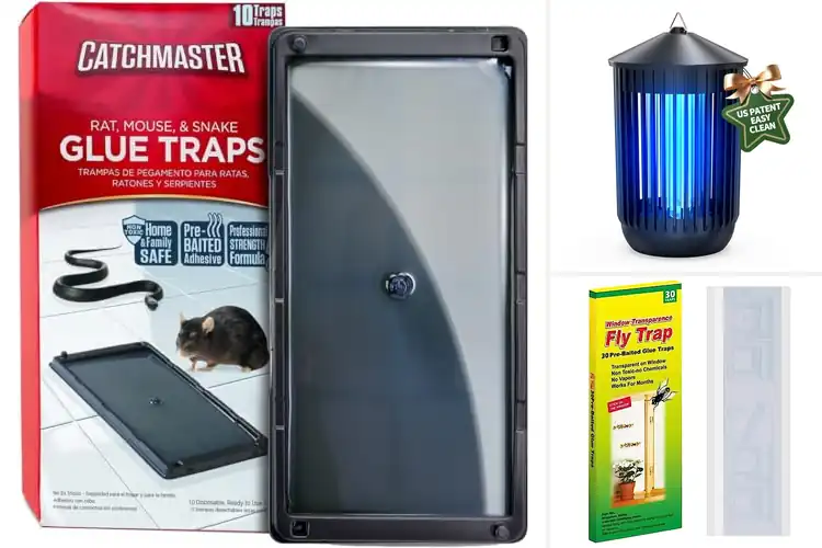Detailed view of Best Waterproof Traps