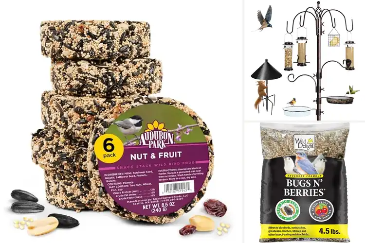 Detailed view of Best Wild Bird Feeding Supplies