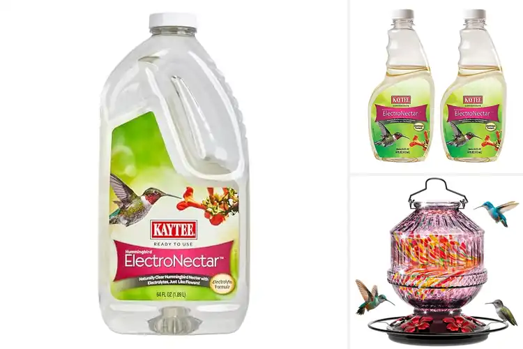 Detailed view of Best Wild Bird Nectars
